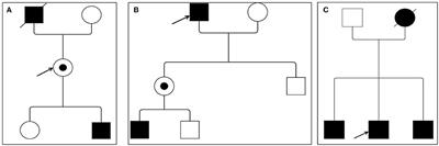 Importance of Echocardiography and Clinical “Red Flags” in Guiding Genetic Screening for Fabry Disease